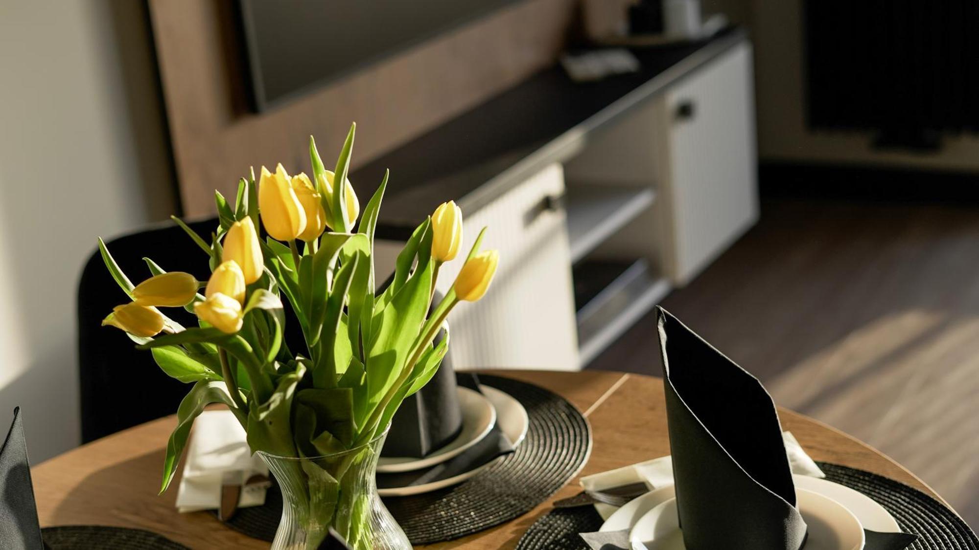Sloneczne Tarasy Apartaments & Spa 格里兹鲍 外观 照片